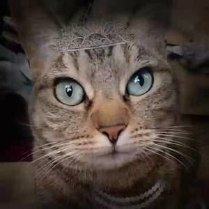 Meet your Posher, Natasha miki